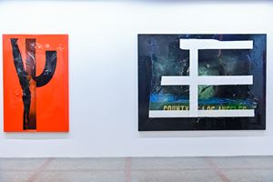 Will Boone, <a href='/art-galleries/david-kordansky-gallery/' target='_blank'>David Kordansky Gallery</a>, ART021, Shanghai (12–15 November 2020). Courtesy ART021.